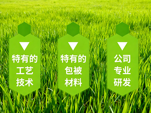 技術(shù)專(zhuān)業(yè)